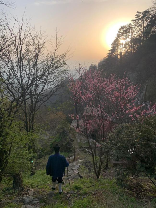 辭職上山的年輕人最后還是下山了 尋找生活的真諦