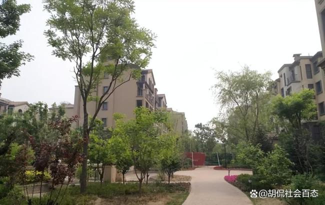 物業(yè)罵業(yè)主住不起就滾 保交樓小區(qū)治理困境