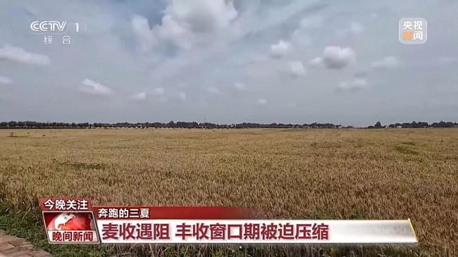 河南給田地裝上“數(shù)字大腦” 科技助力麥?zhǔn)崭咝七M