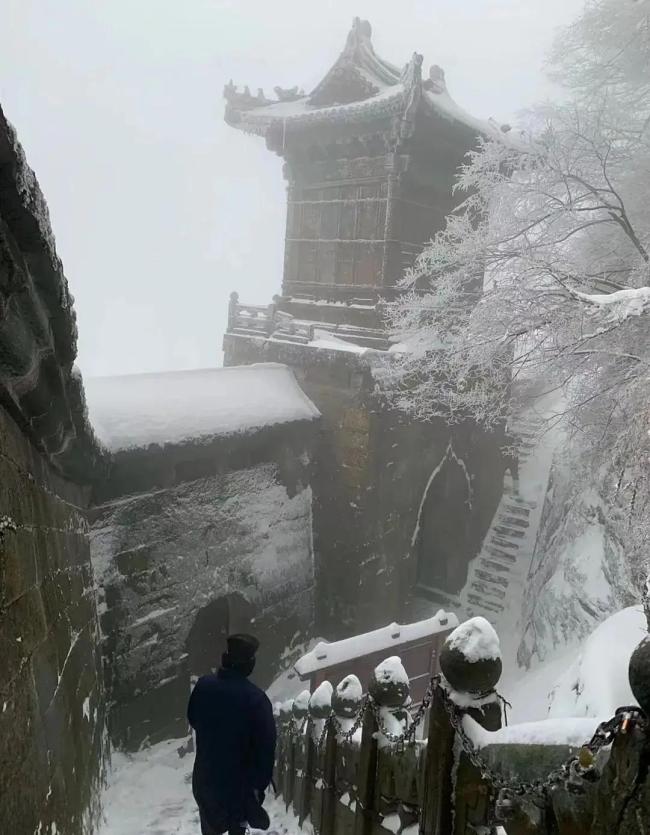 不想上班？辭職上山的年輕人最后還是下山了 修行不易