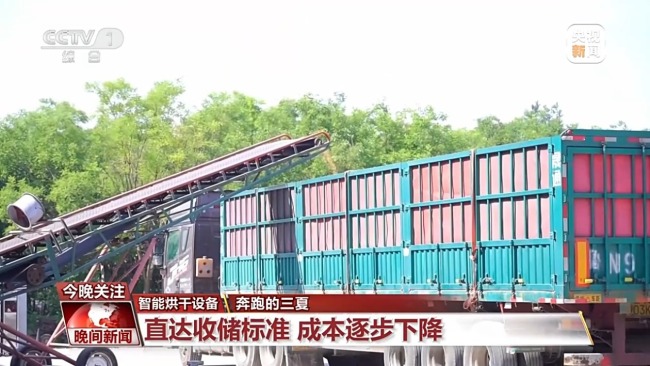 全國小麥?zhǔn)斋@進度已過三成半 各地智慧農(nóng)機顯身手