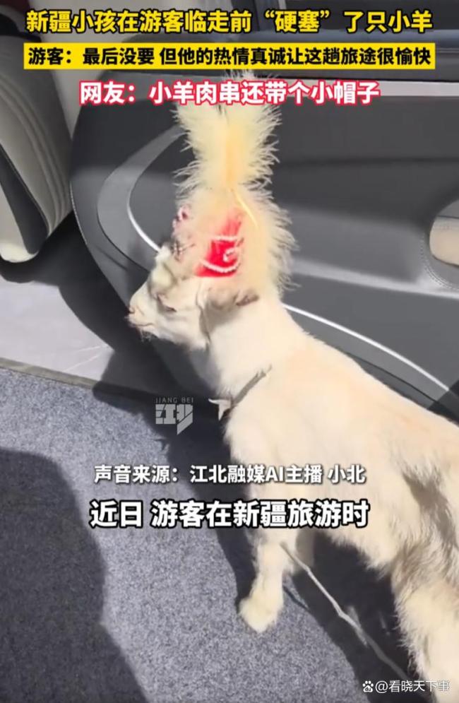新疆小孩在游客临走前硬塞小羊