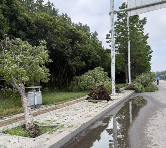 山东博兴局地遭遇11级以上大风 狂风引发多地停电与设施损毁