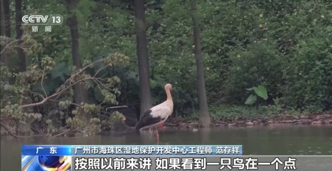 科技如何赋能美丽中国建设 多场景解锁