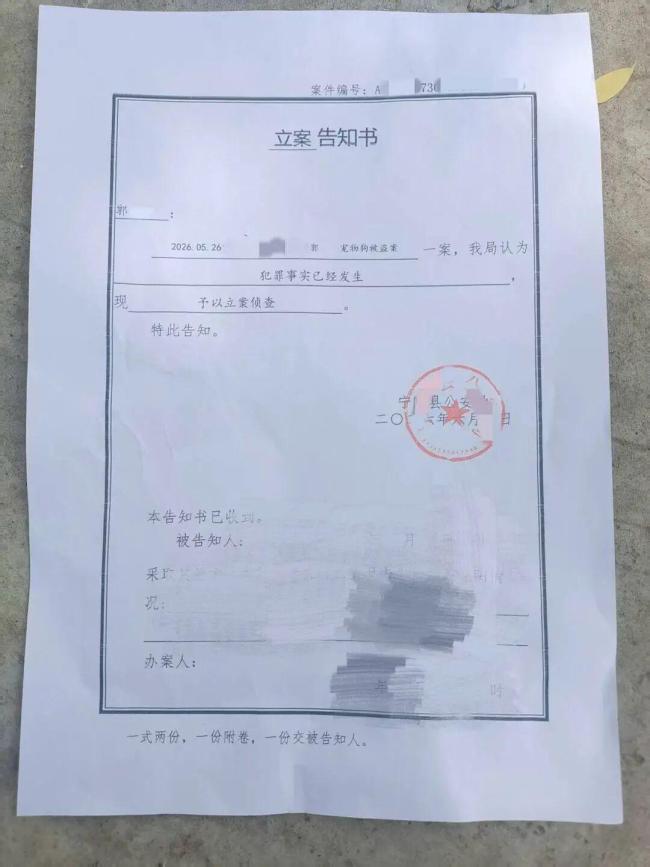 警方对网红边牧被盗宰杀一事刑事立案 宠物狗悲剧引发全网热议