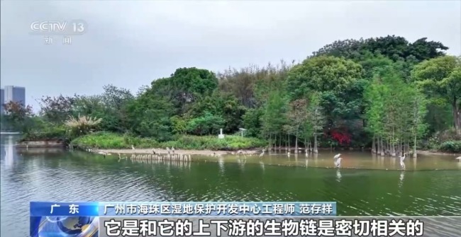 科技如何赋能美丽中国建设 多场景解锁