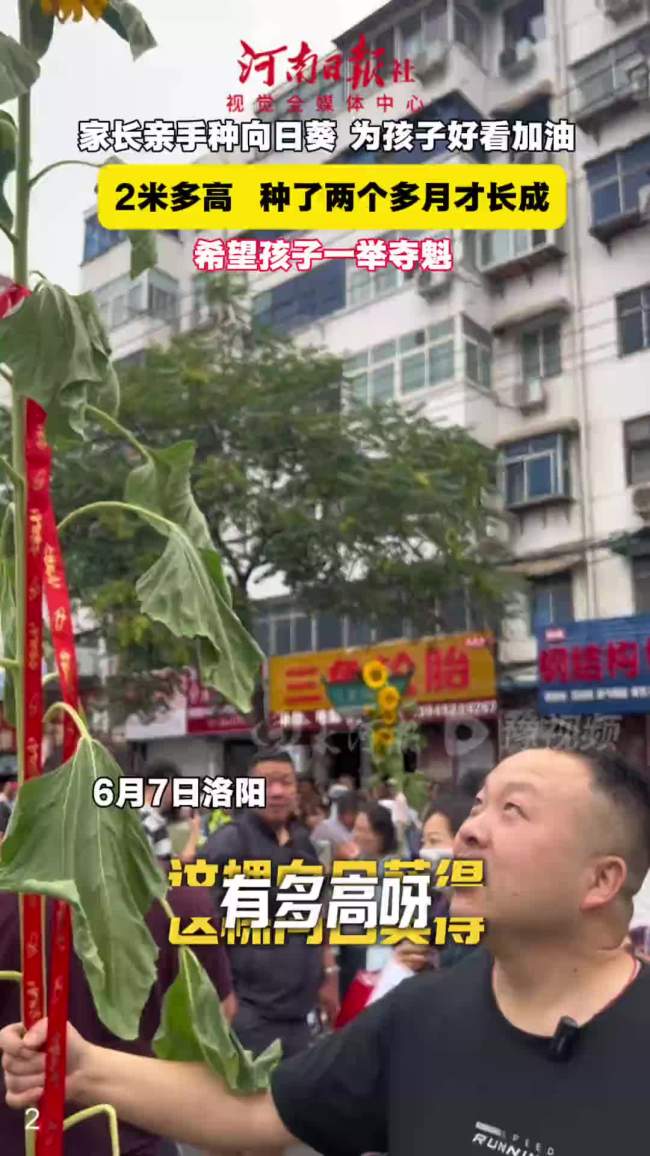 家长扛2米高向日葵为孩子加油
