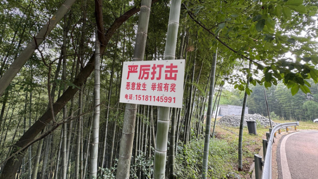 村中有人放生蛇？村民嚇得起雞皮疙瘩 放生行為引擔憂