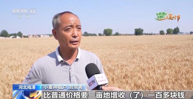 訂單護(hù)航+科技助力 各地?fù)屪マr(nóng)時守好“糧袋子”