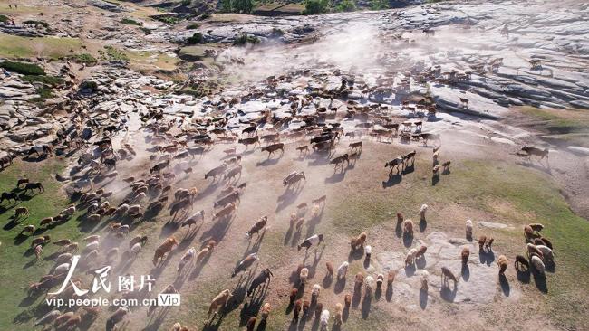 新疆福海：牧民忙夏季转场