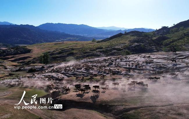 新疆福海：牧民忙夏季轉(zhuǎn)場