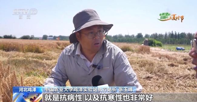 訂單護航+科技助力 各地搶抓農(nóng)時守好“糧袋子”