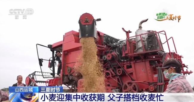 订单护航+科技助力 各地抢抓农时守好“粮袋子”