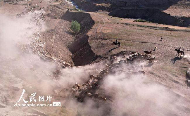 新疆福海：牧民忙夏季轉(zhuǎn)場