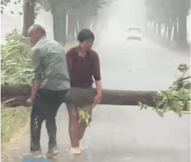 夫妇暴雨中徒手移开折断大树