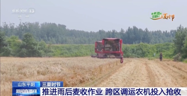 田間“數(shù)字哨兵”上崗 智能農(nóng)機(jī)護(hù)航“三夏”豐收
