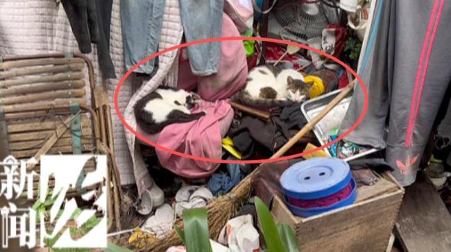男子囤垃圾10年女儿曾住垃圾山 邻居苦不堪言