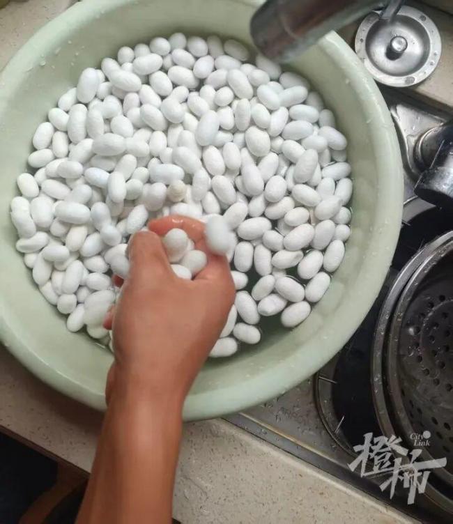 半夜醒來老公一個(gè)人坐客廳剝繭：耗時(shí)17天剝繭、煮繭、拉蠶絲兜，終于變成2床蠶絲被