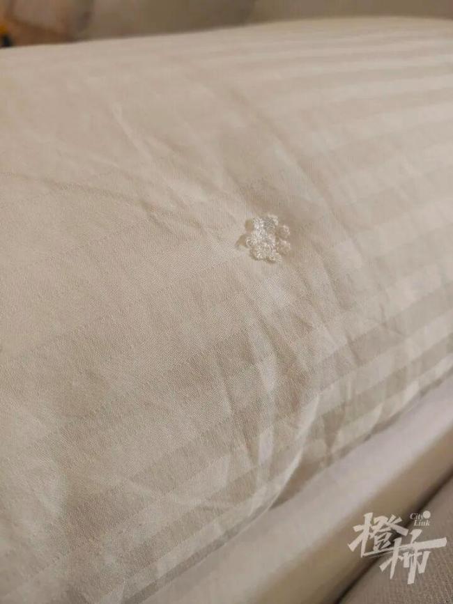 半夜醒來(lái)老公一個(gè)人坐客廳剝繭：耗時(shí)17天剝繭、煮繭、拉蠶絲兜，終于變成2床蠶絲被