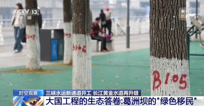 “十五五”首個(gè)重大工程開(kāi)工！三峽水運(yùn)新通道