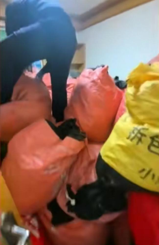 母女租房子養(yǎng)流浪狗房東崩潰 鄰居不堪其擾