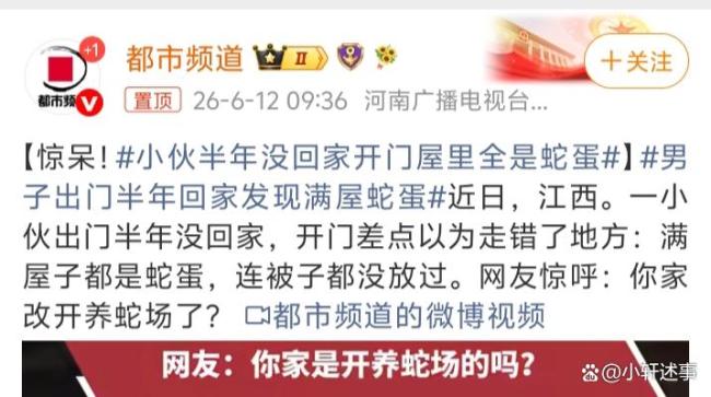男子离家半年回家发现满屋蛇蛋 空置房屋惊魂记