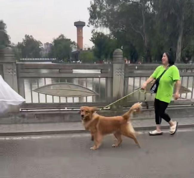成都赤脚救落水金毛的女孩找到了 温暖人心的救援