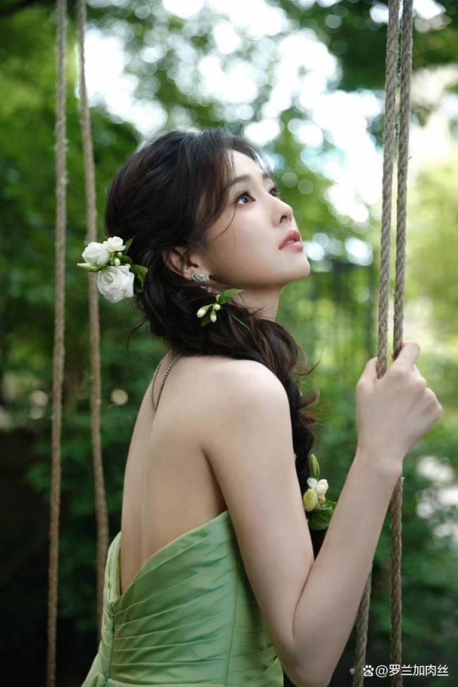白鹿把唯一的茉莉花给了小婉