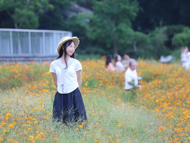 广州：金色花海美成童话世界
