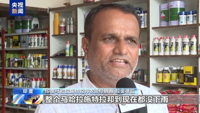 厄尔尼诺带来高温 印度农业面临考验