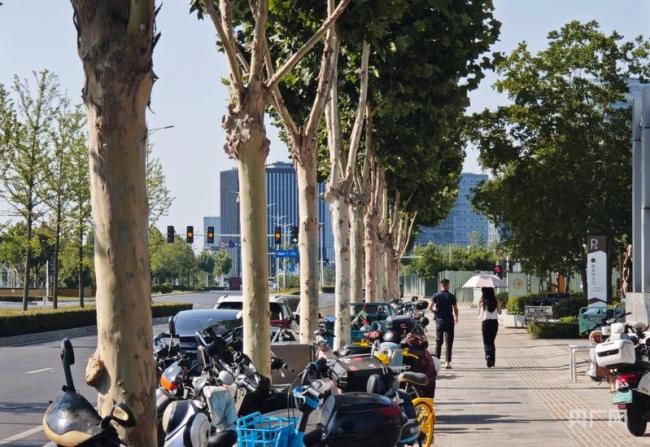 高温持续来袭 专家支招科学防暑 全方位防护指南