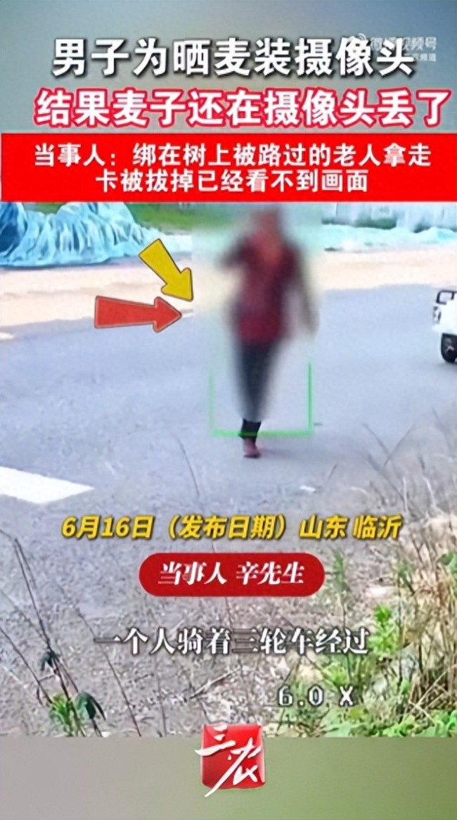 男子装监控看晒麦摄像头被人偷走：绑在树上被路过老人拿走