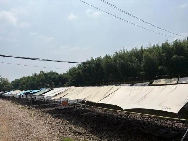 律师回应河边露营村民私自收费 私人无权收费
