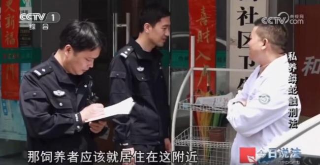 独居男子小区里养300条蟒蛇 非法饲养引发关注