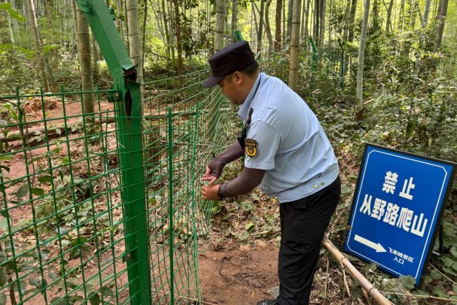 西湖景区重拳治理“黄牛” 多措并举守护游览公平