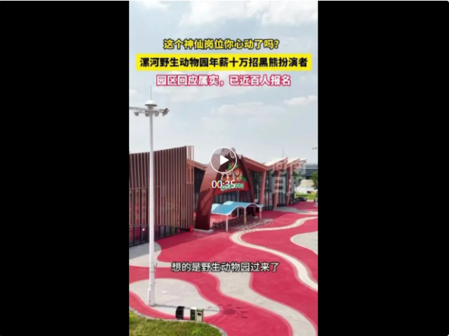 动物园年薪10万招黑熊扮演者