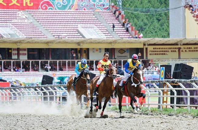 雪域追风！2026年迪庆·香格里拉赛马会开幕