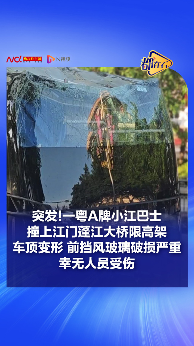 司机称开导航仍撞上限高架