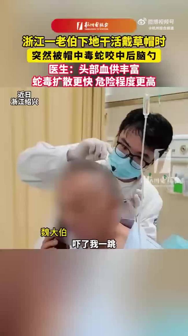 男子遭40厘米长毒蛇咬中后脑勺 及时就医脱险