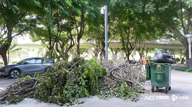 专家：控蚊子至无害水平需全社会参与 共筑综合防治体系