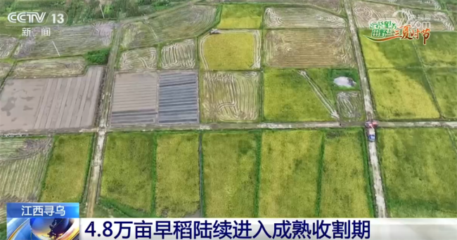  “良种+良机+良技”奏响智慧农业丰产曲