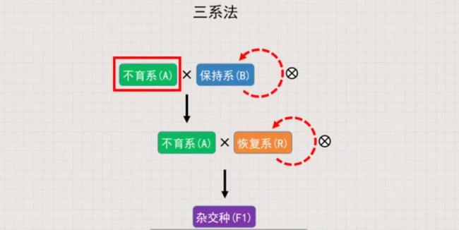 百万网红诋毁袁隆平 被无限期封禁 无知言论挑战粮食安全底线