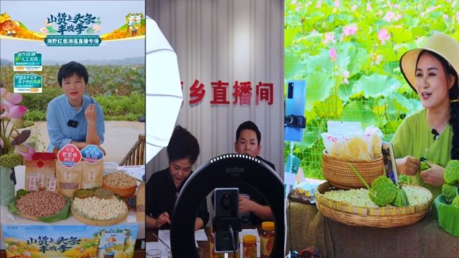 因地制宜兴产业 深耕乡土谋振兴
