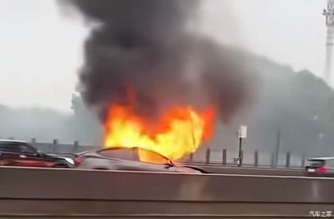 特斯拉撞护栏起火 路过车主救出司机 事故原因待查