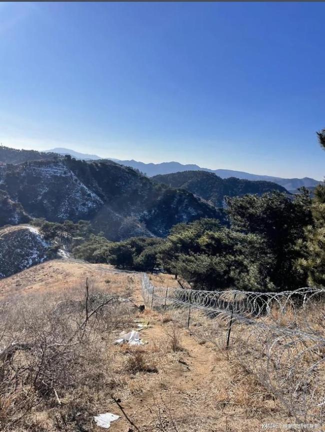 网友称有动物因泰山拦网被困死亡 隔离网引发争议