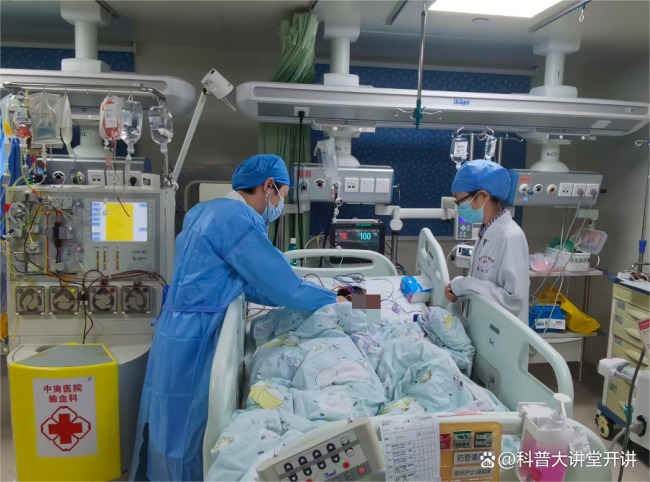9岁男童误食剧毒蘑菇抢救8天