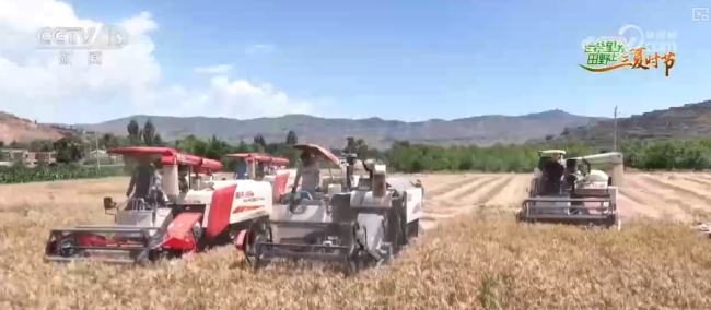 智慧“新农人”上阵服务夏管生产