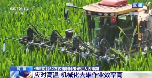 田间地头显身手 看机器人如何高效作业