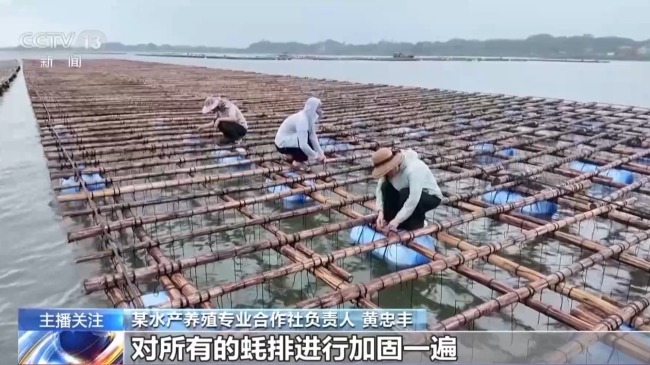 保障“菜篮子”供应 各地多举措防御台风