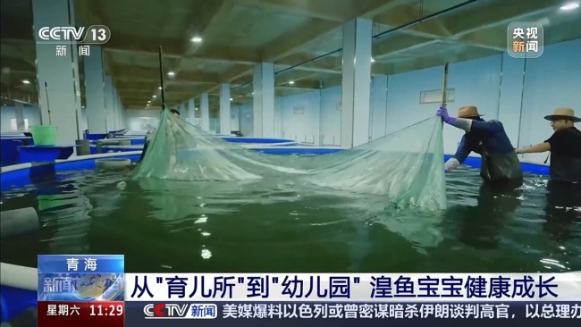 科技监测 双线守护青海湖湟鱼洄游